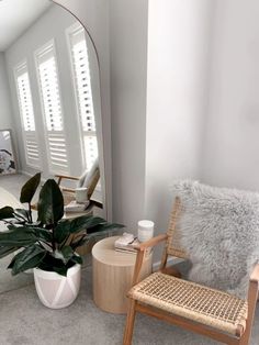 a mirror and chair in a room with a plant on the floor next to it