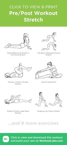 an exercise poster with instructions to use the correct position for each person's body