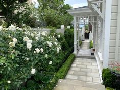 a house with white flowers in the front yard and walkway leading to the entrance area