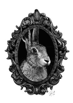 a black and white drawing of a rabbit in a frame