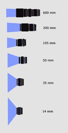 three different types of lights are shown in blue and black, with the same size for each