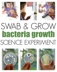 the cover of swab & grow bacteria growth science experiment, with photos of children