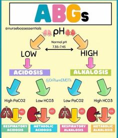 the diagram shows different types of acids