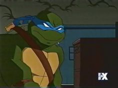 Leonardo Tmnt