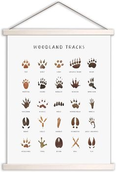 the woodland tracks poster is hanging on a white wall and features different types of animals'footprints