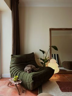 a dog laying on a green couch in a living room next to a large mirror