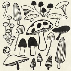 black and white drawing of different types of mushrooms