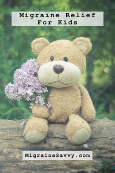 a teddy bear sitting on top of a log with flowers in its mouth and the caption reads, 42 donate a toy to a christmas toy charity in his or her name