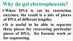 Why Do Gel Electrophoresis Genetic, Science, Quick Saves