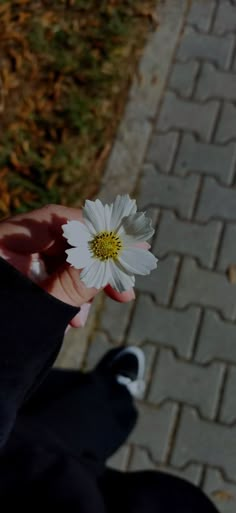 a person holding a white flower in their hand on a brick walkway next to grass