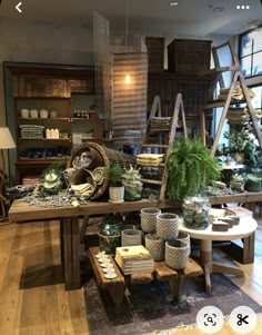 a room filled with lots of potted plants on top of a wooden table in front of a window