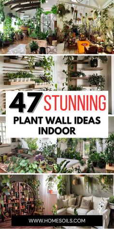 Transform your space with 47 stunning indoor plant wall ideas that bring nature inside! Visit our site for creative ways to incorporate greenery into your home decor. Plant Tv Wall Ideas Indoor, Plant Wall Ideas Indoor Diy, Plant Wall With Grow Lights, Wall Shelves Plants, Decorating With Plants Indoors, Plant Shelves Wall, Plant Wall Shelf Ideas, Plant Wall Indoor, Plant Wall Ideas Indoor