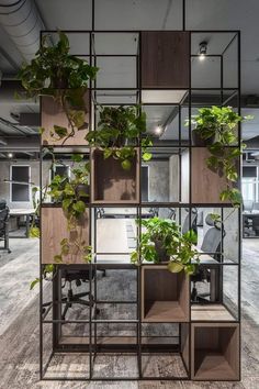 an office cubicle with plants growing on the wall and shelves in front of it