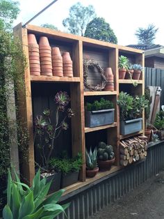 a wooden shelf filled with potted plants next to a wall covered in succulents