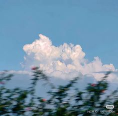 the sky is blue with clouds and trees