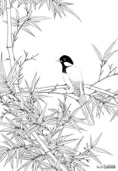 a black and white bird sitting on top of a tree branch next to bamboo leaves