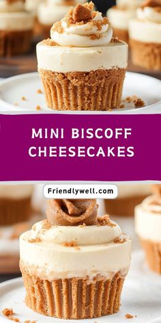 mini biscoff cheesecakes with frosting on top