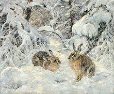 two rabbits in the snow near some trees