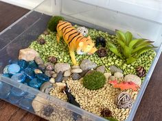 a plastic container filled with rocks and plants next to a small fish in the water