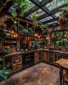 a kitchen filled with lots of potted plants