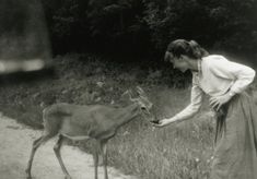 an old photo of a woman feeding a deer