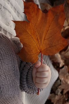 a person holding a leaf in their hand