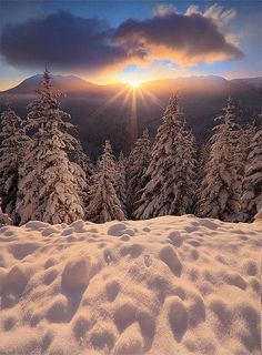 the sun shines brightly over snow covered trees