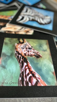 several pictures of giraffes are displayed on a table with blue and green background