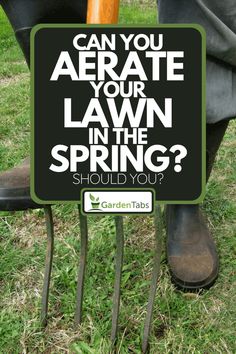 a sign that says can you aerate your lawn in the spring?