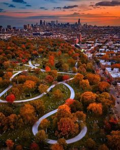 an aerial view of a city with lots of trees in the foreground and roads winding through it