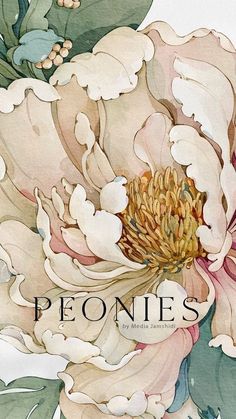 the cover of peonies magazine with an image of a large flower on it