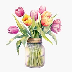 a watercolor painting of tulips in a mason jar