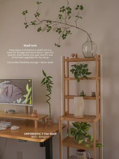 a computer desk with a plant on top of it next to a tv monitor and shelf