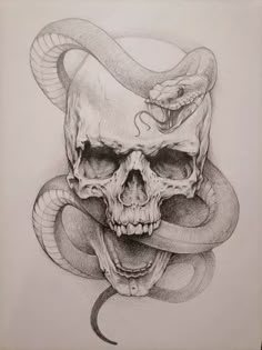 a pencil drawing of a skull with a snake wrapped around it's neck and head