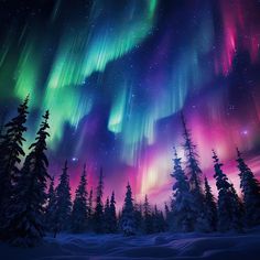 an aurora bore is shown in the sky above some trees and snow covered ground with bright lights