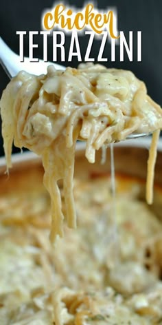 the best chicken tetrazzini recipe is made with pasta and cheese