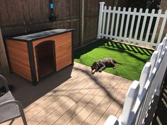 a dog is running around in the back yard with his owner's dog house