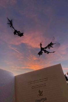 two bats flying in the sky above an open book