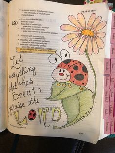 an open bible with a ladybug holding a flower