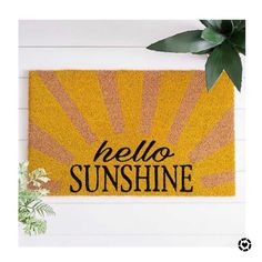 a door mat with the words hello sunshine on it and a potted plant next to it