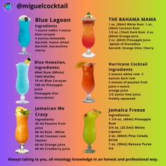 a poster with different types of cocktails on the side and names in each one