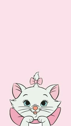 a white cat with a pink bow on its head sitting in front of a pink background