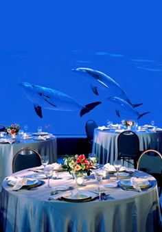 two dolphins jumping out of the water over a table set with plates and silverware