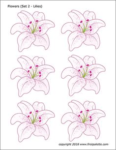 four pink flowers with green leaves and red berries on the petals, set 2 - lilies