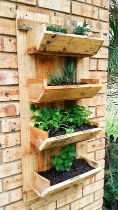 three wooden shelves filled with plants on top of a brick wall next to a planter