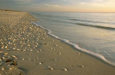 the beach is covered in shells as the sun sets over the water's horizon