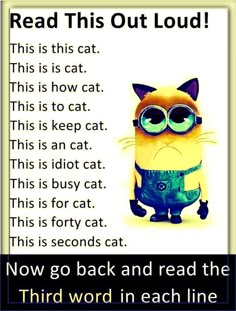 an image of a cat with glasses on it's face and the caption reads read this out loud