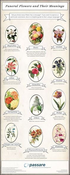 a poster with different types of flowers and their names on it's front cover