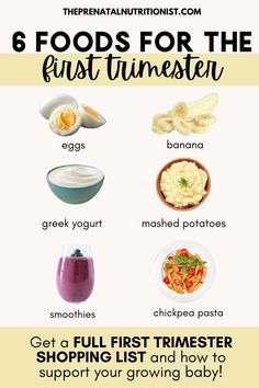 the 6 foods for the first timester are shown in this graphic above it's description