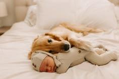 a brown dog laying on top of a bed next to a baby